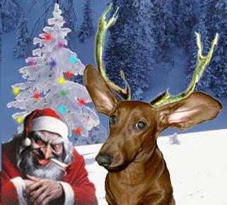 Dachshund and cool Santa Claus